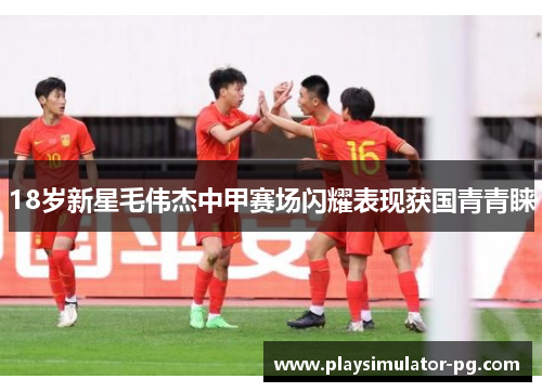 18岁新星毛伟杰中甲赛场闪耀表现获国青青睐