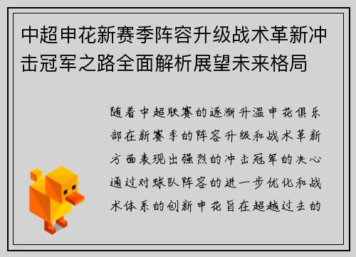 中超申花新赛季阵容升级战术革新冲击冠军之路全面解析展望未来格局