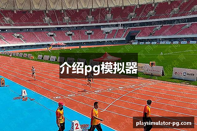 介绍pg模拟器